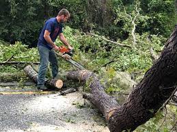Best Firewood Processing and Delivery  in Mckinleyville, CA